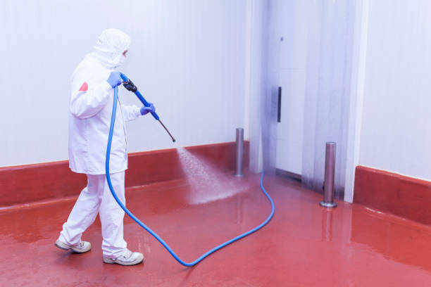 Best Pool Deck Cleaning  in Hilmar Irwin, CA